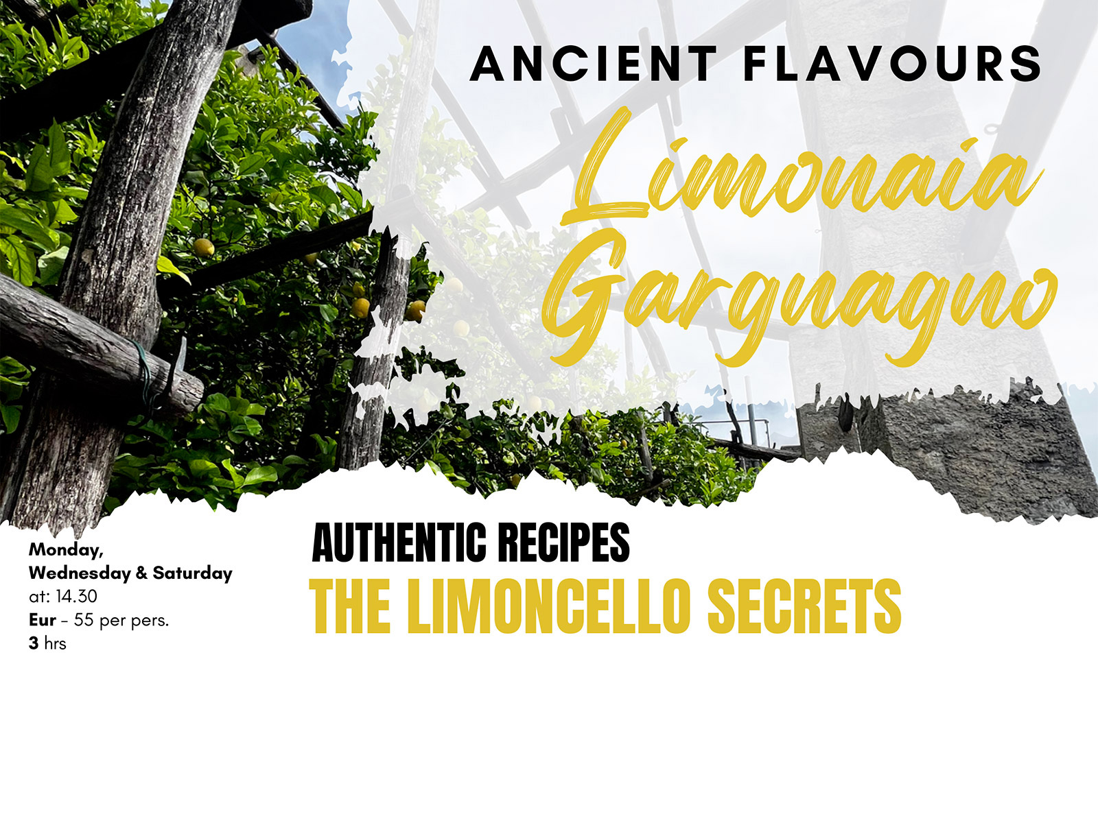 ANCIENT FLAVOURS